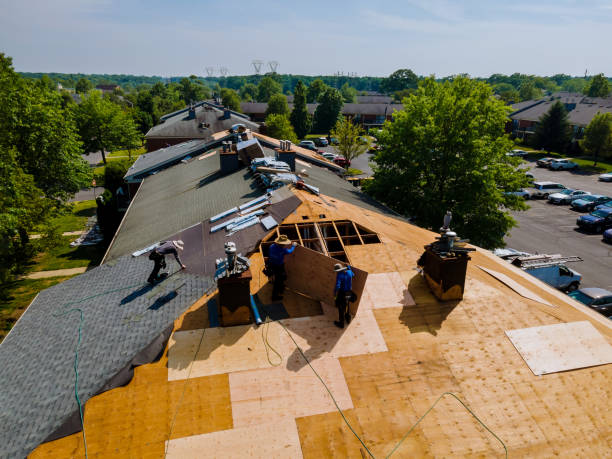 Trusted Colchester, IL Roofing Contractor Experts
