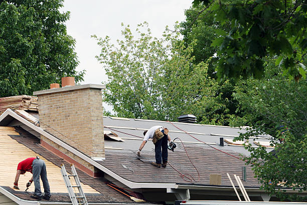 Best Flat Roof Repair Services  in Colchester, IL
