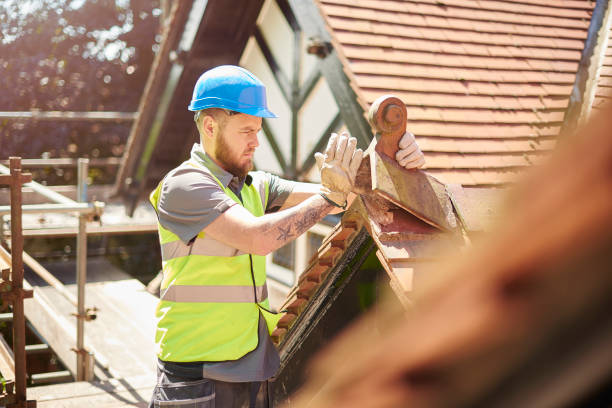 Roof Gutter Cleaning in Colchester, IL