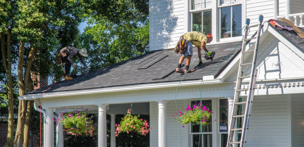 Roof Waterproofing Services in Colchester, IL